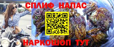 PSILOCYBIN Кулебаки