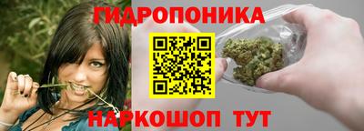 PSILOCYBIN Кулебаки