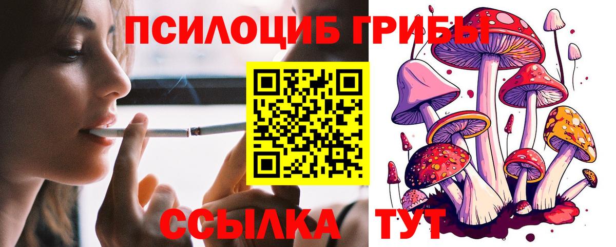 Хабаровск  Псилоцибиновые грибы мицелий  Вход с VPN 