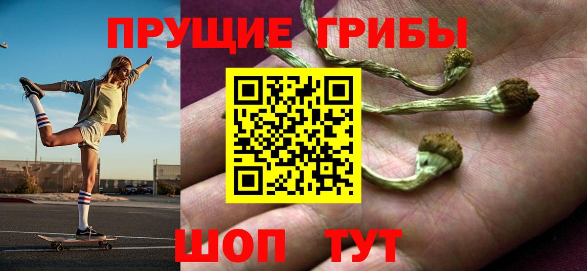 Псилоцибиновые грибы мухоморы Хабаровск